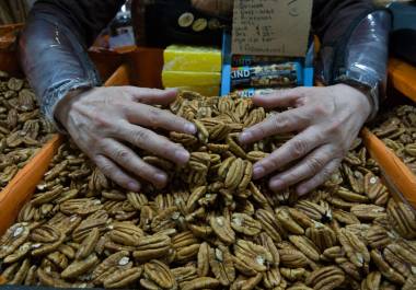 Productores coahuilenses podrían resentir una mayor oferta de nuez en el mercado nacional si parte de la cosecha mexicana que se destinaba a China permanece en el país.