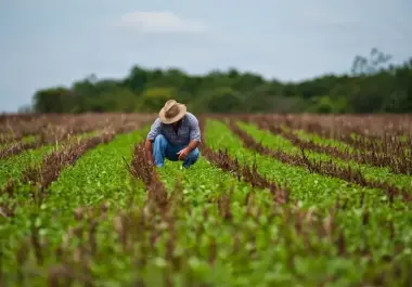 El presidente de Estados Unidos, Donald Trump, podría considerar exentar a ciertos productos agrícolas de los aranceles, reveló la secretaria estadounidense de Agricultura, Brooke Rollins.