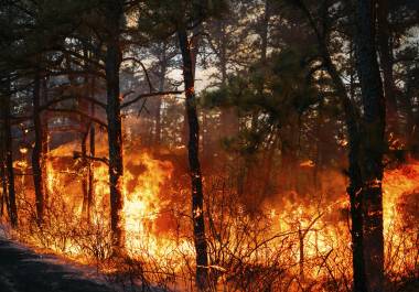 El incendio forestal California Branch arde en el Bosque Estatal Wharton de Nueva Jersey. FOTO: