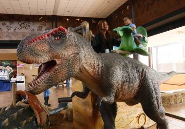 El Museo del Desierto abrirá de forma continua durante el periodo vacacional de Semana Santa, con nuevas experiencias como dinosaurios robotizados, realidad aumentada y actividades para niñas y niños.
