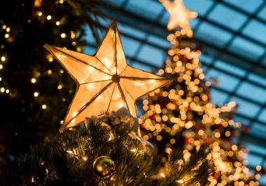 La Navidad es una de las celebraciones más importantes del mundo, pero su origen está lejos de ser exclusivamente cristiano.