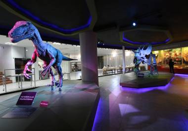 Los investigadores responsables del descubrimiento darán más información sobre esta nueva especie.