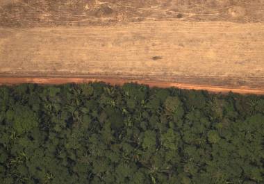 Vista aérea de áreas deforestadas de la selva amazónica, en Porto Velho, Rondonia, Brasil.