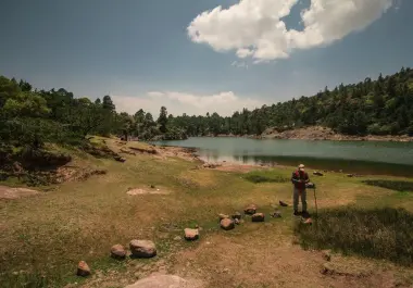 Viaje. Desde caminatas entre árboles hasta actividades de aventura, estos destinos combinan paisajes espectaculares con experiencias para disfrutar al aire libre.