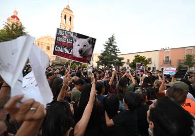 El caso de maltrato animal de Rocky deja un precedente en la ciudad.