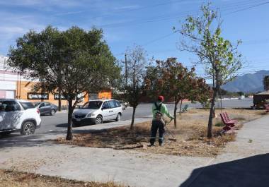 Cuadrillas municipales despejaron camellones en bulevares como Otilio Zurdo Galván.