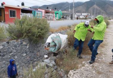 Las labores incluyen riego, poda baja del arbolado y mantenimiento de mallas ciclónicas perimetrales.