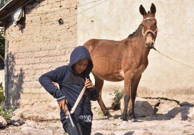 Cada vez es más común ver a menores de edad formar parte del crimen organizado o en policías comunitarias, como especies de autodefensas.