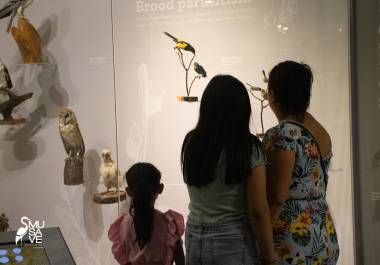 Familias y visitantes podrán recorrer las cinco salas de exhibición del recinto y conocer la diversidad de aves que forman parte del patrimonio natural de México.