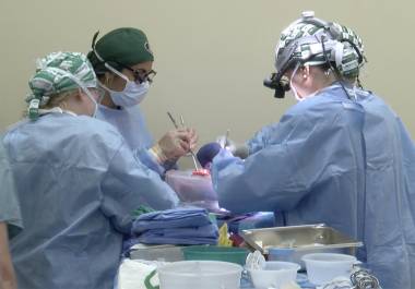 Cirujanos se preparan para trasplantar riñones de un cerdo modificado genéticamente al cuerpo de un receptor fallecido en septiembre de 2021. AP/UAB