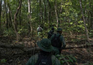 Los cárteles usan estas zonas protegidas para el trasiego de drogas, enfrentando a los guardias forestales que carecen de personal y equipamiento para detenerlos | Foto: The New York Times