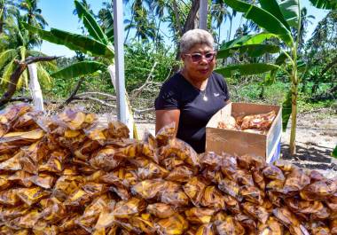 Las acciones se intensificaron tras la confirmación de la presencia de la enfermedad en diversos países de Sudamérica.