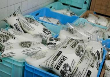 La Auditoría Superior de la Federación detectó pagos a productores que no cumplían con los requisitos para recibir el precio de garantía, recursos entregados después de la muerte de proveedores y operaciones de leche cuya recolección no pudo ser acreditada.