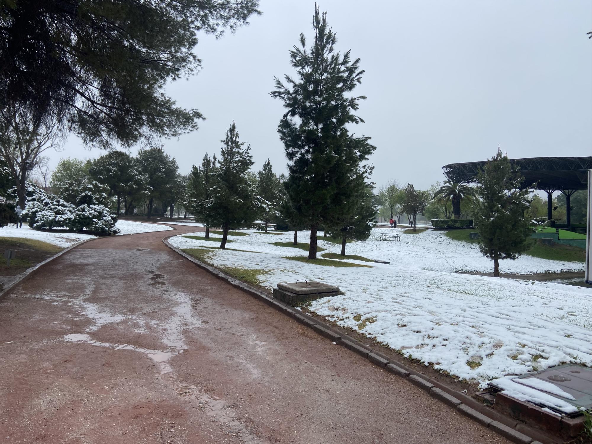 Reporta Municipio saldo blanco tras nevada en Monclova. Noticias en tiempo real