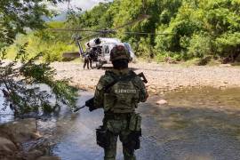 Elementos de la Secretaría de Seguridad y Protección Ciudadana (SSPC), Guardia Nacional (GN) y Secretaría de la Defensa Nacional (Defensa) encontraron y desmantelaron en Guerero tres laboratorios clandestinos.