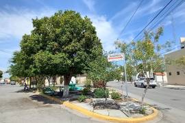 La capacitación busca fortalecer las buenas prácticas en el cuidado del arbolado urbano de Torreón.