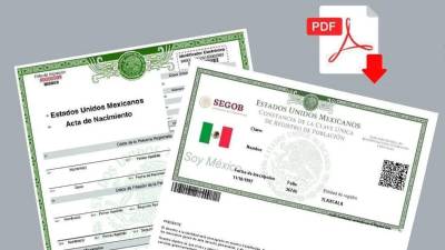 Con la llegada de nueva tecnología, ya no se tiene por qué hacer una larga fila para obtener estos documentos pues ya puede hacerse en Internet.