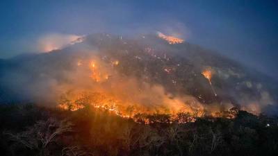 Autoridades han identificado al menos 95 incendios forestales activos en el país, el número más alto en lo que va del año.