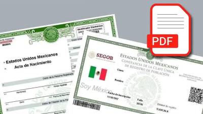 Si no los tienes y no sabes cómo obtenerlos, aquí te contamos cómo puedes hacerlo por internet. FOTO:
