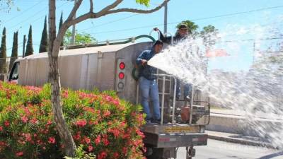 Personal del municipio mantiene áreas verdes con agua tratada para ahorrar agua potable.