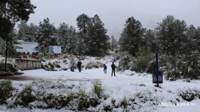 El nuevo Frente Frío, generará ambiente gélido con temperaturas de entre los -15 grados y -10 grados, caída de nieve o aguanieve, lluvias y evento Norte.