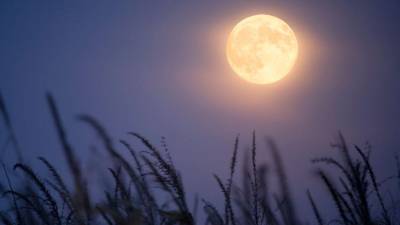 La Luna llena de Cosecha iluminará el cielo de México durante la noche de este sábado 26 de septiembre.