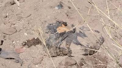 Encuentran bolsas de basura con restos humanos en predio de Jalisco