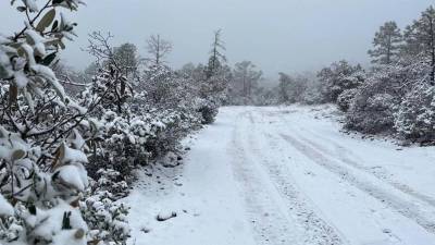 Se mantendrá la probabilidad para la caída de nieve o aguanieve en las sierras de Sonora, Chihuahua, Sinaloa (norte) y Durango.