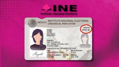 La nueva credencial del INE incorpora campo de género, autoidentificación indígena o afromexicana, códigos QR reforzados y accesibilidad.