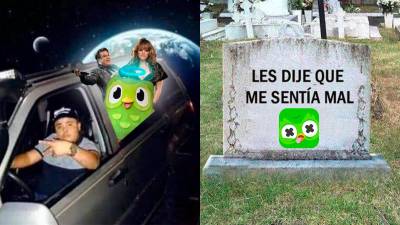 La famosa aplicación de idiomas Duolingo reveló el trágico fallecimiento de su mascota ‘Duo’ el pasado 11 de febrero, quien fue atropellado por una Cybertruck, sorprendiendo así a miles de usuarios alrededor de todo el mundo.