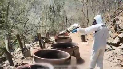 Autoridades federales localizaron tres laboratorios clandestinos en Los Haros y Los Cedritos, Sinaloa, con afectación de 923 mdp al crimen.