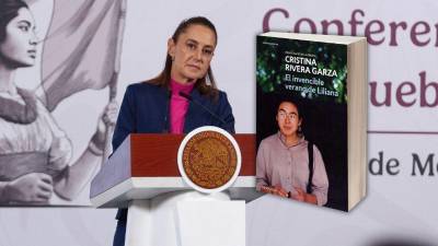 El feminicidio de Liliana Rivera Garza, presuntamente cometido por su expareja Ángel González Ramos, continúa impune desde 1990 y ha vuelto al centro del debate público por la reconstrucción del caso en una obra literaria.
