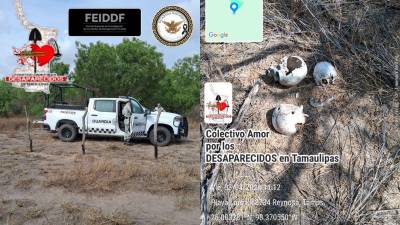 Fotografías de la fosa clandestina en el predio de Reynosa