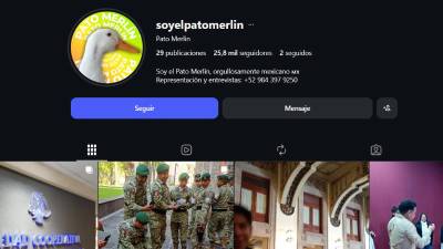 Pato Merlín llega a redes sociales con una cuenta oficial, momentos virales y respaldo del IMPI tras convertirse en símbolo mexicano durante el Mundial 2026.