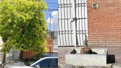 El árbol talado en la colonia República tenía más de 30 años de vida y fue destruido sin el permiso correspondiente, según denuncian los vecinos y la asociación Saltillo Verde.