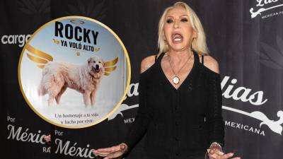 Alcance. El caso de ‘Rocky’ ha provocado una ola de indignación nacional y ha movilizado a activistas, figuras públicas y ciudadanos en demanda de justicia.