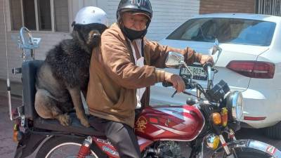 “Oso González Chopper”, el perrito motociclista, se convirtió en un personaje icónico de Saltillo, llenando de alegría a quienes lo veían recorrer la ciudad junto a su dueño, el dentista Javier González.