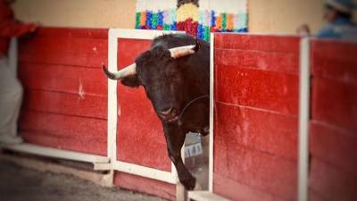 Las corridas de toros están prohibidas en Coahuila desde hace nueve años.