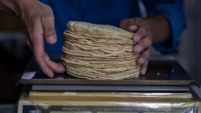 El próximo mes se viene un ‘inevitable’ aumento en la tortilla entre los 21 y 26 pesos y esta es la razón