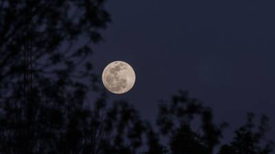 Diciembre nos sorprenderá con eventos astronómicos que no podrás perderte. Desde la última superluna de 2025, ‘Luna Fría’; lluvia de estrellas de las Gemínidas; lluvia de meteoros Úrsidas; y el Solsticio de invierno