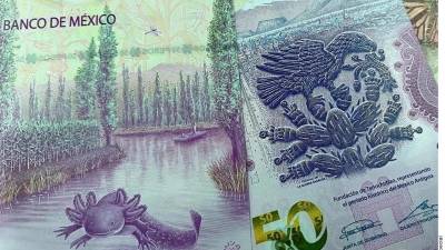 Se frenan inversión por T-MEC, pero el crédito al consumo (10-12%) mantiene a flote a la banca; pese a su solidez, prevén deterioro por volatilidad económica.