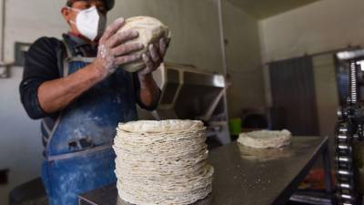 El proceso fija un piso común de conocimientos técnicos y eleva los estándares de calidad en la industria.