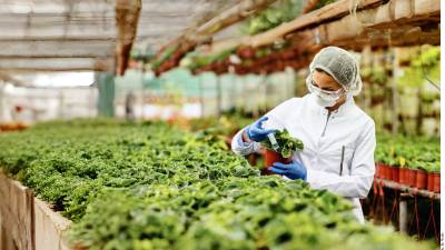 Ante esta situación, urgieron a la USTR a iniciar un panel de disputa formal para imponer sanciones arancelarias a las exportaciones mexicanas.