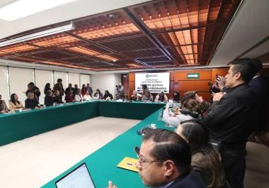 Diputadas de distintos partidos defendieron el sentido original de la violencia vicaria como una forma de violencia de género ejercida exclusivamente contra las mujeres.