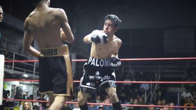 Juan Alexis Palomo debutó con creces en su primer pelea profesional, luego de vencer a Josué Linares.