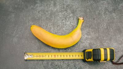 En el rango promedio, la longitud media del pene de un hombre humano generalmente se calcula entre 12.9 cm (5.1 pulgadas) y 13.3 cm (5.5 pulgadas).