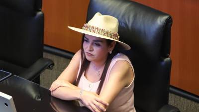 Grecia Quiroz arremete en contra de la reforma electoral