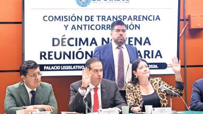 La investigación inició hace más de seis meses y, pese a ello, no se interpusieron las denuncias correspondientes.