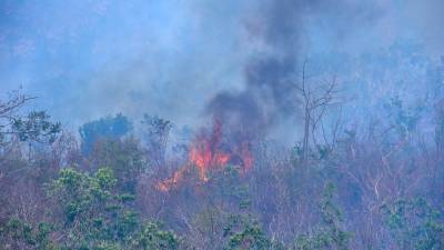 25/04/2024. Continúan los incendios en el Parque Nacional El Veladero de Acapulco, en donde autoridades confirmaron que alrededor de 40 hectáreas de vegetación han sido consumidas por el fuego.