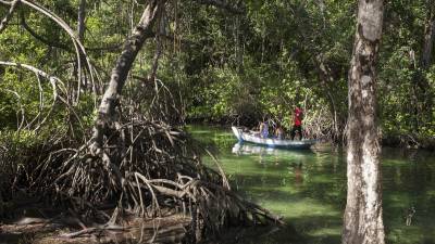 La laguna rodeada de árboles brillaba de un color que solo suele verse en el pasillo de los enjuagues bucales y, bajo la superficie de sus aguas cristalinas, las ramas caídas parecían manos abiertas listas para cacharte.